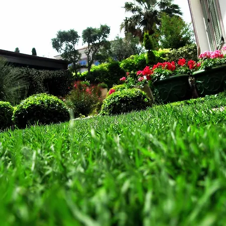 Nisi (adults Only) Hotel Ayvalı