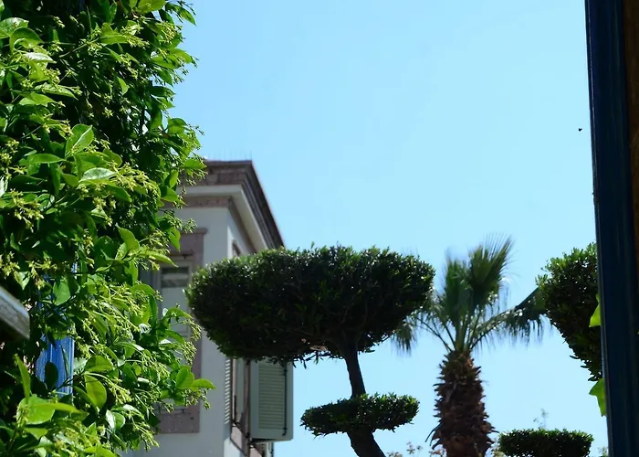 Hotel Nisi (adults Only)